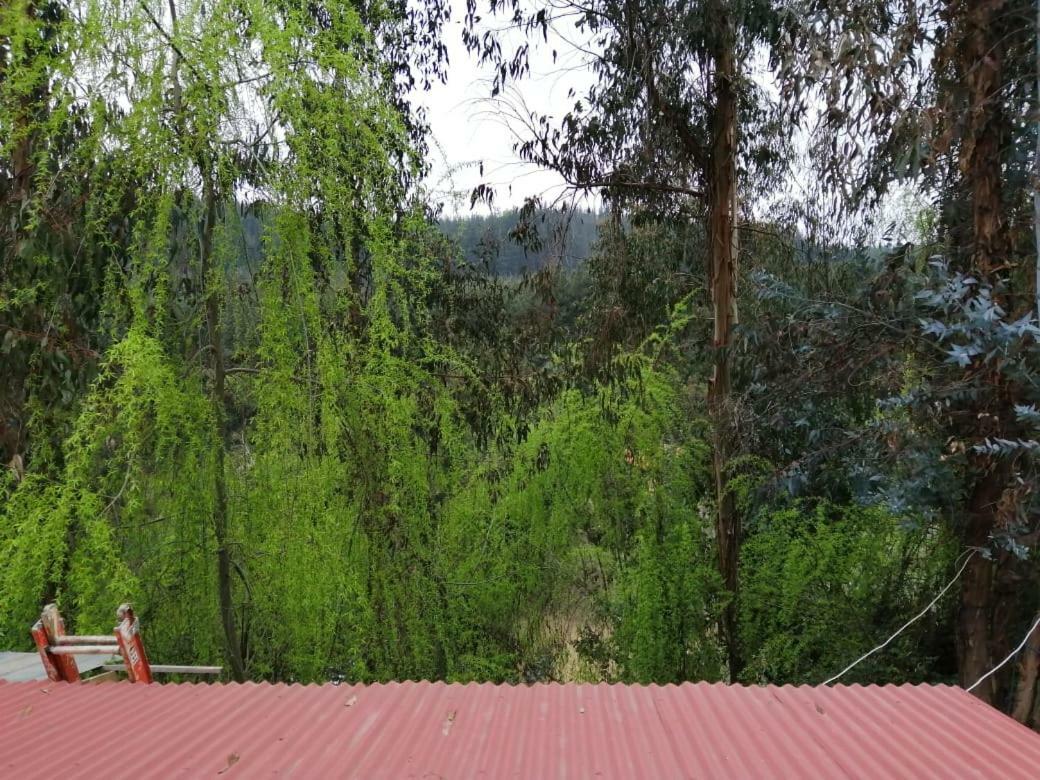 El Fogon De Rio Claro Hotel Ngoại thất bức ảnh
